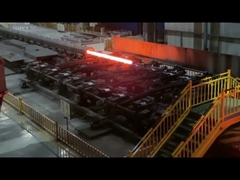 রোলড Ms Nail Making Steel Wire Rod Black Annealed Iron Wire Coil Nail Wire Sae1006 5.5 মিমি 6.5 মিমি